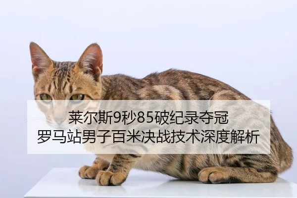 lai-er-si-miao-po-ji-lu-duo-guan-luo-ma-zhan-nan-zi-bai-mi-jue-zhan-ji-shu-shen-du-jie-xi-2-265.jpg